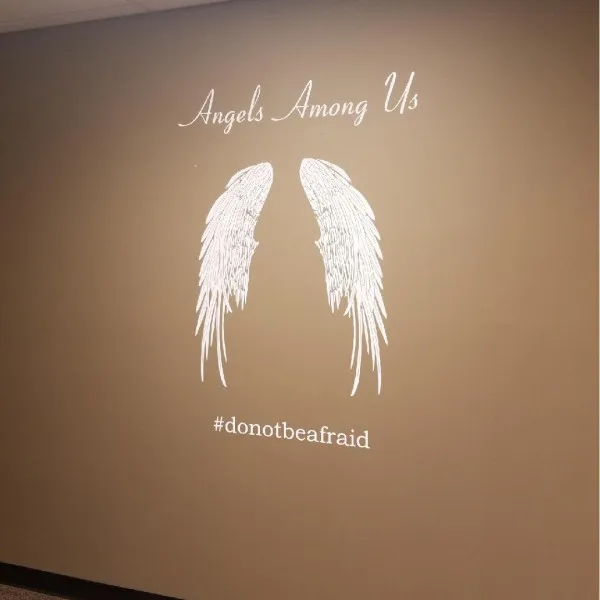 Wings Wall Graphic