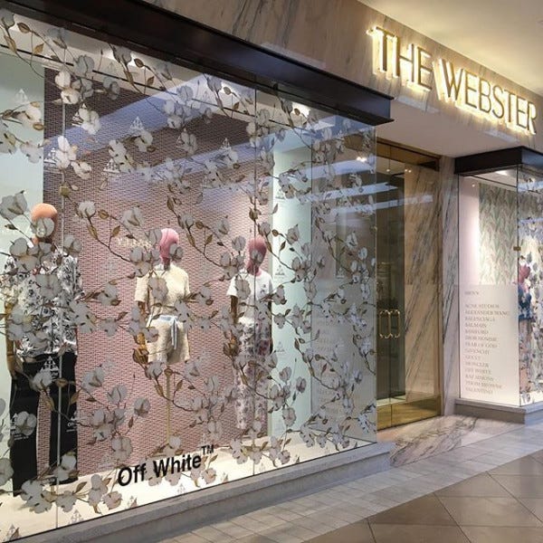 Window Graphic For The Webster 