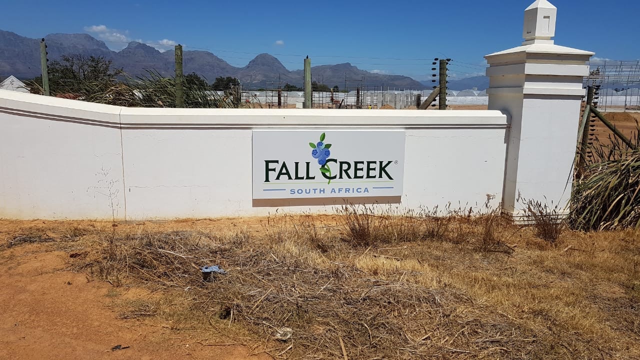 Company Signage