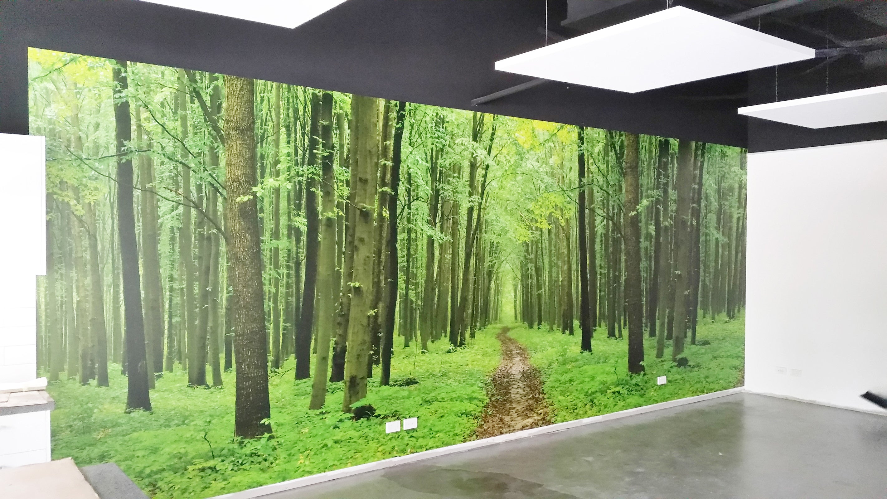 MTA Queensland - Stunning Wall Graphics