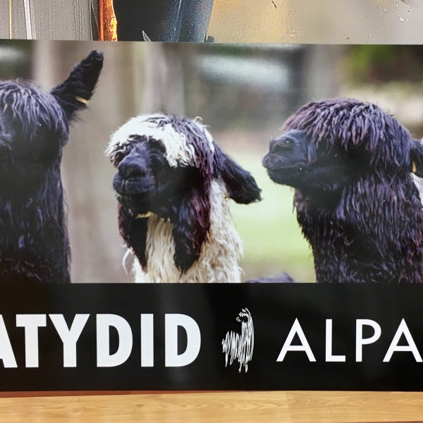Katydid Alpacas New Road Sign