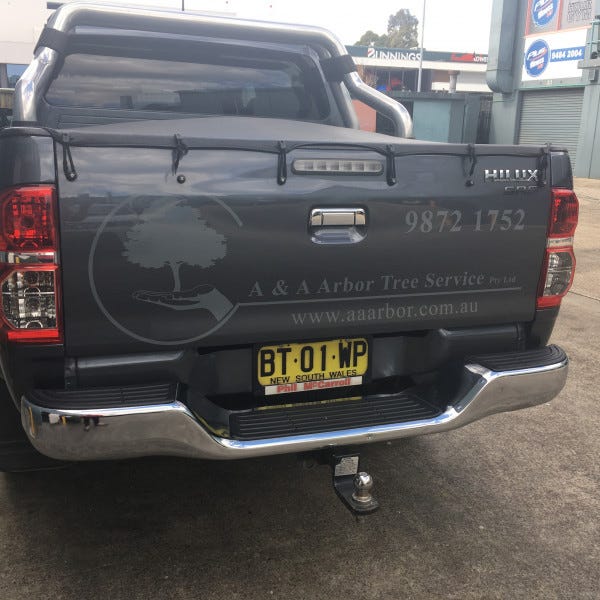 A&A Arbor Tree Service