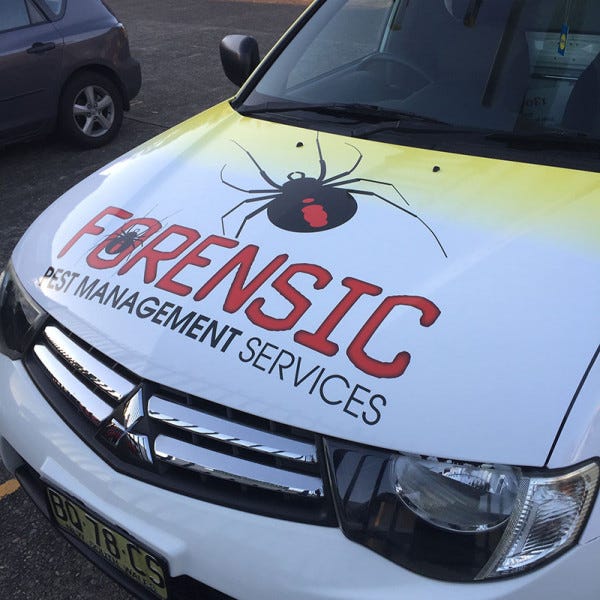 Vehicle Wrap