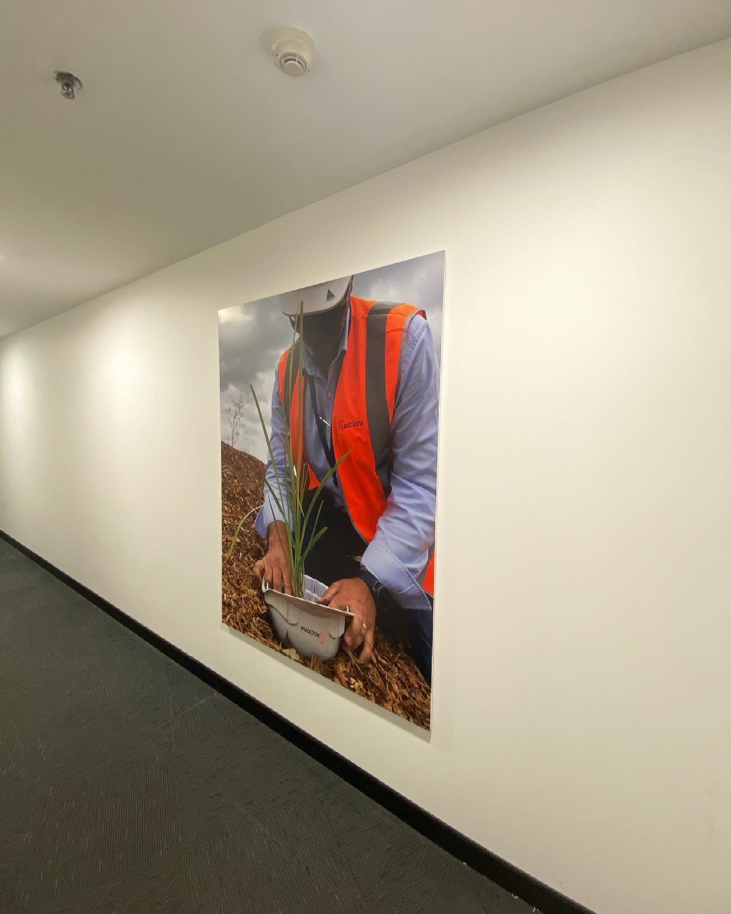 Wall hanging images- For Acconia- By Signarama Penrith