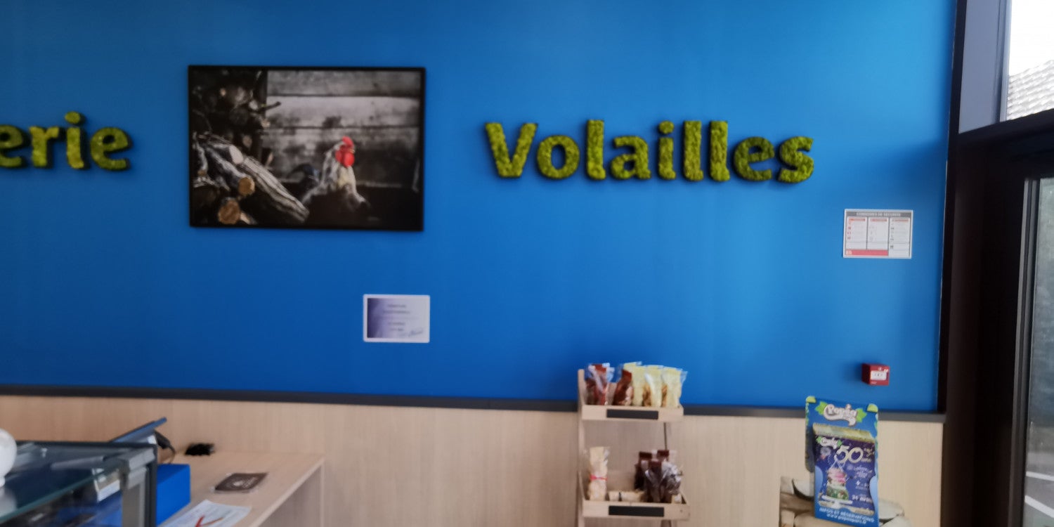 Logo Végétal