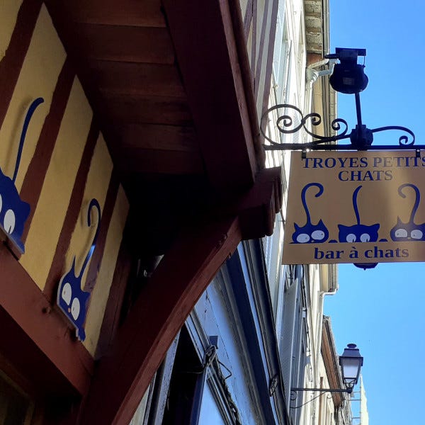 facade-enseigne-drapeau-aube-signarama-troyes