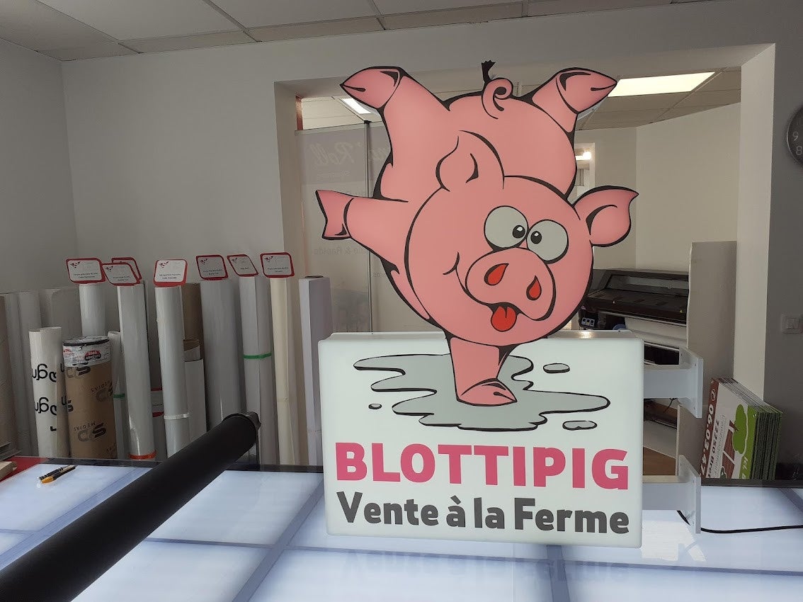 Enseigne lumineuse pour Blottipig installé à Maisoncelles par Signarama Le Mans