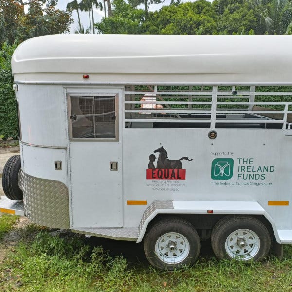 Horse Trailer Decal By Signarama Eunos