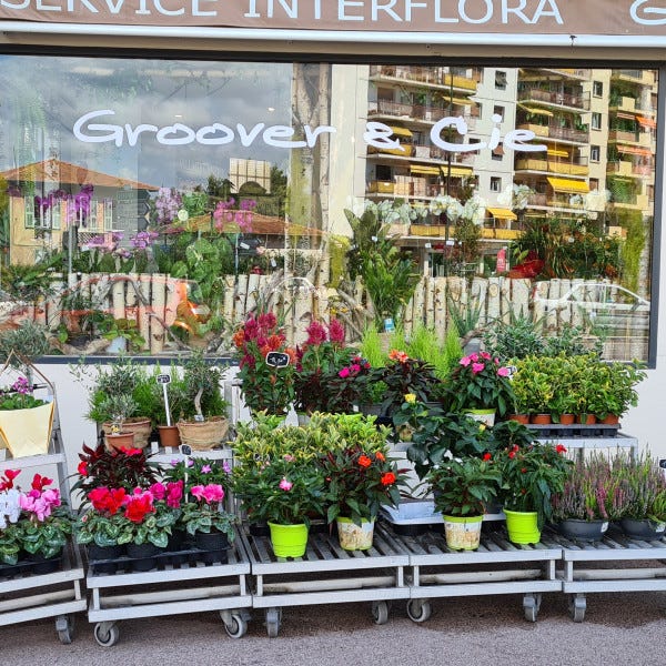 lettrage-decoupe-signarama-saint-laurent-du-var