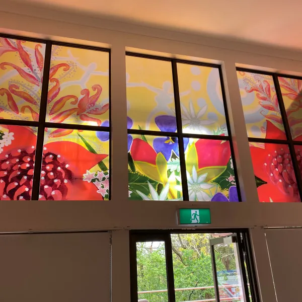 Frosted Hospital Windows