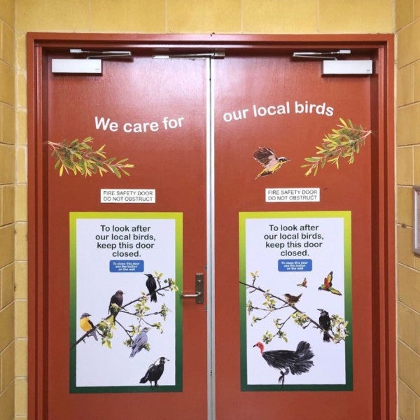 Reminder to Save The Birds