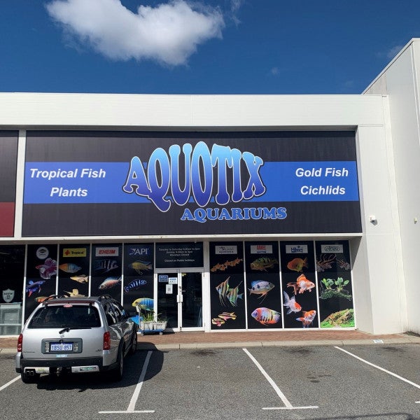 Want a sign that wows without breaking the bank?