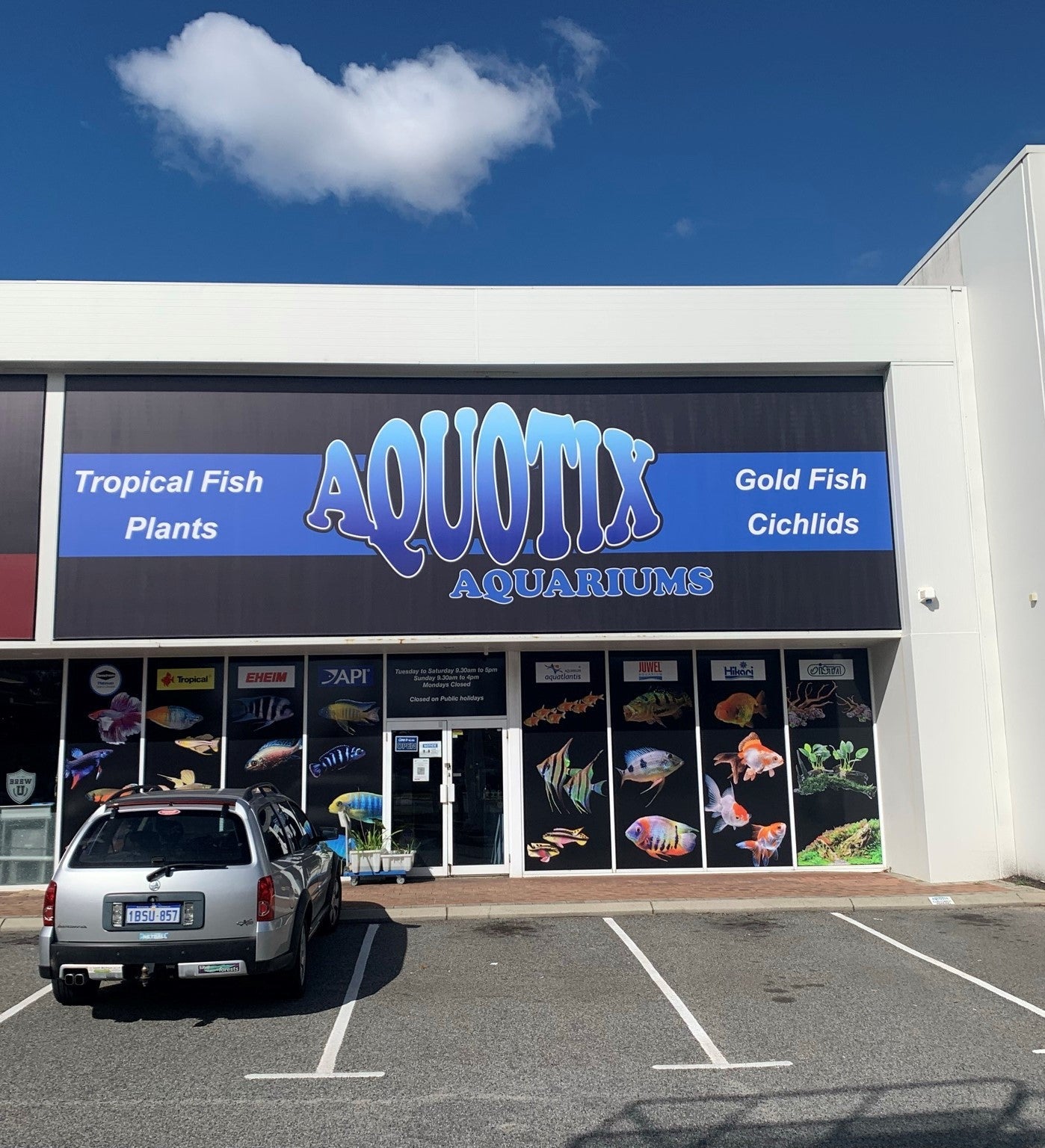 Want a sign that wows without breaking the bank?
