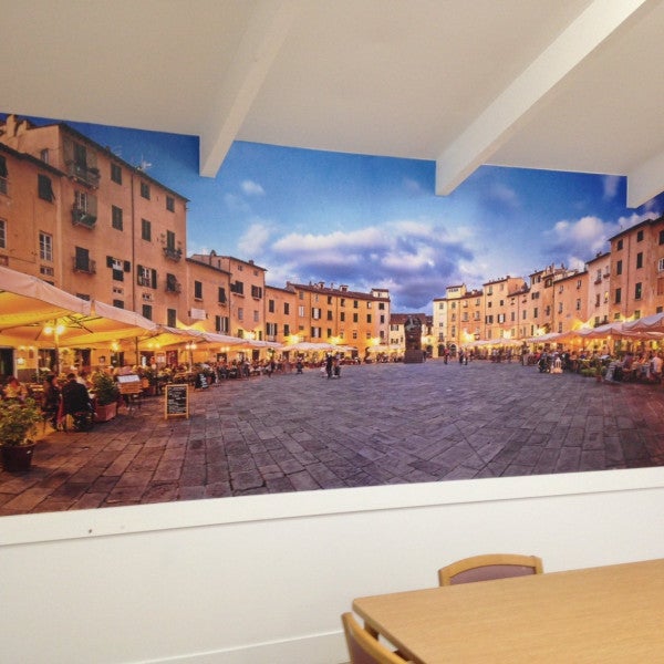 Transform Your Office or Retail Environment with Custom and Digitally Printed Wallcoverings