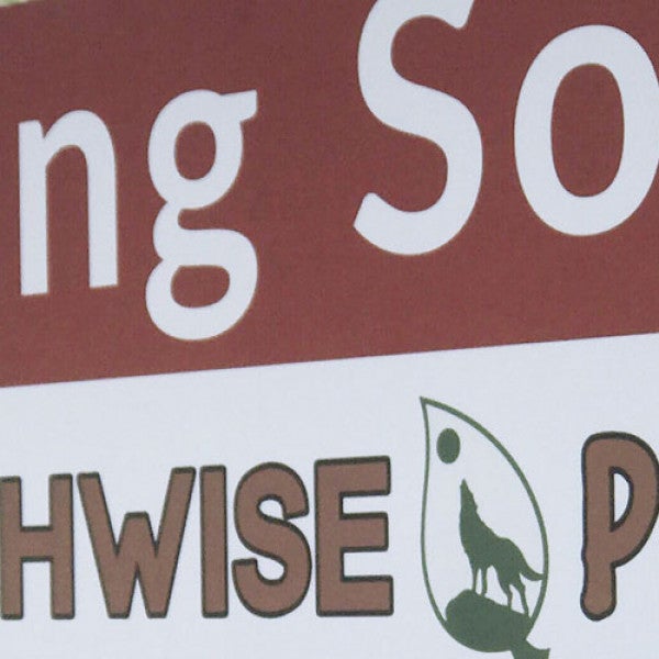Construction Site Signage: Must-Have Signage Checklist