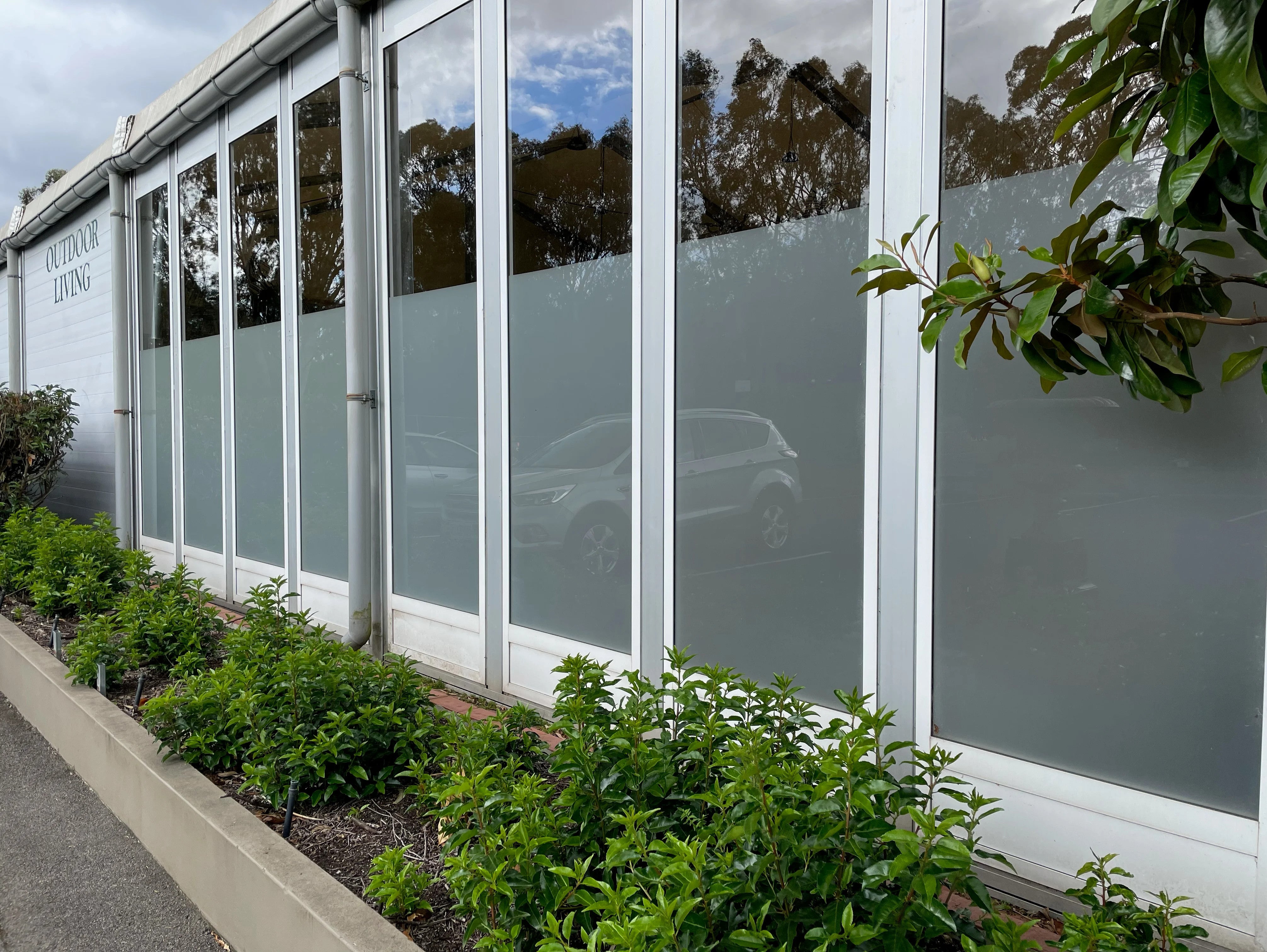 Window Frosting - The Greenery Garden & Home - Heidelberg.
