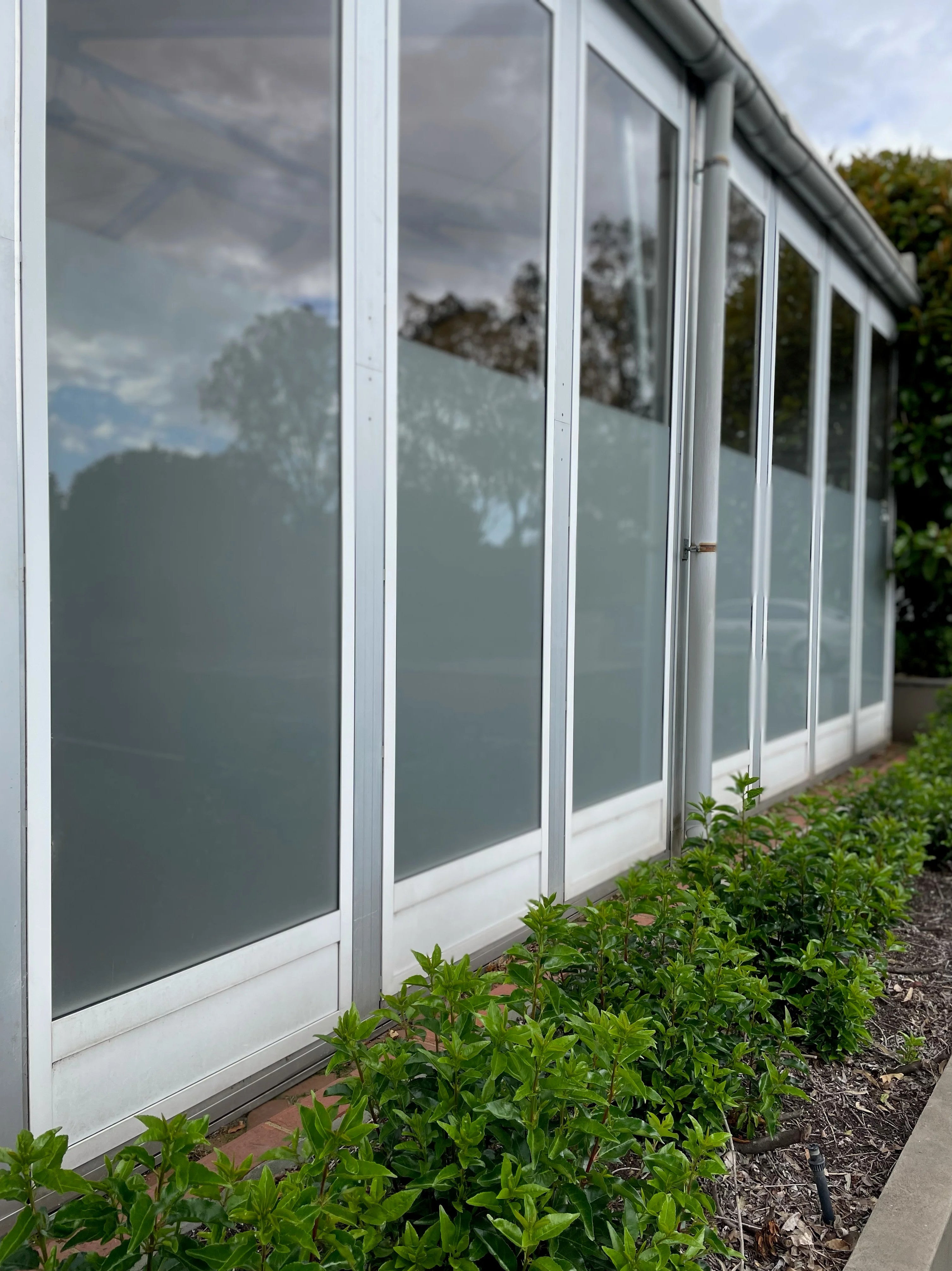 Window Frosting - The Greenery Garden & Home - Heidelberg.