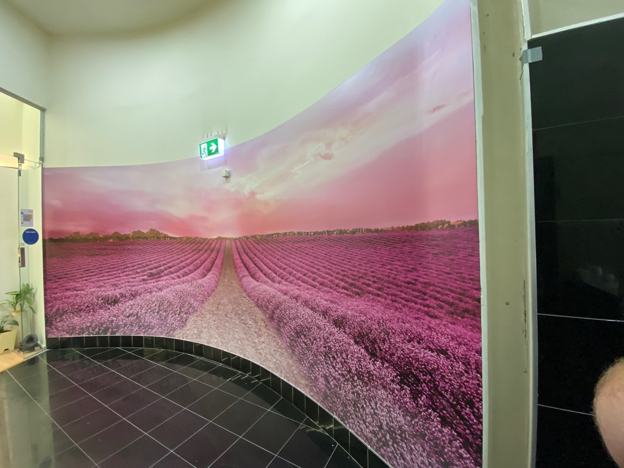 Johnson and Johnson Vision, Digital print onto Hitac vinyl, Display wall