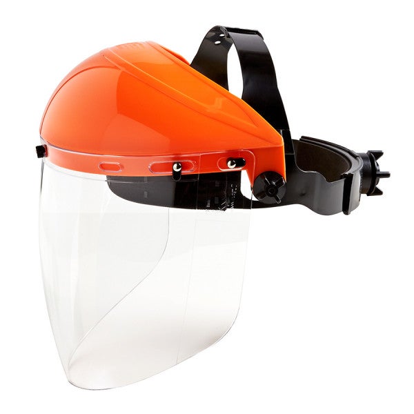 Custom Visor and Browguard