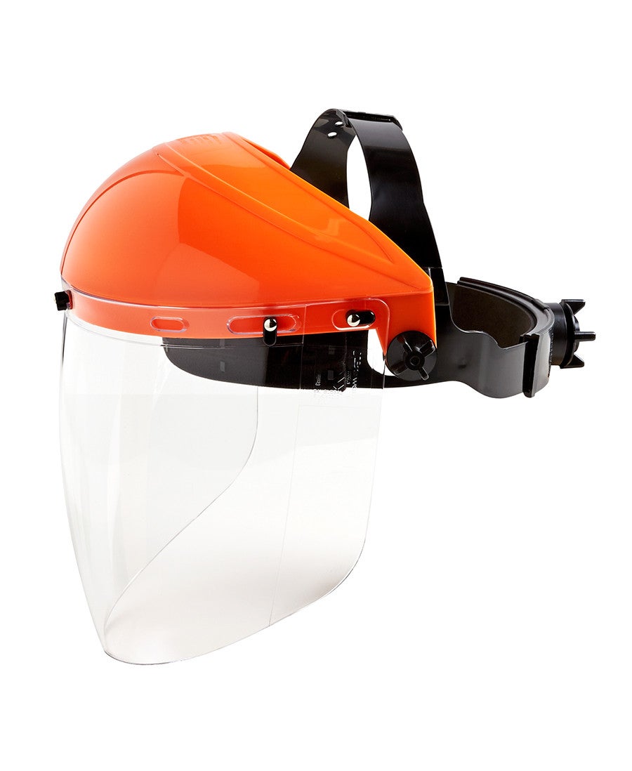 Visor and Browguard