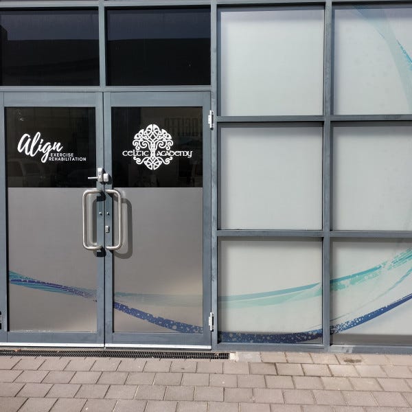 Silver frosted windows with computer cut graphics over the top.