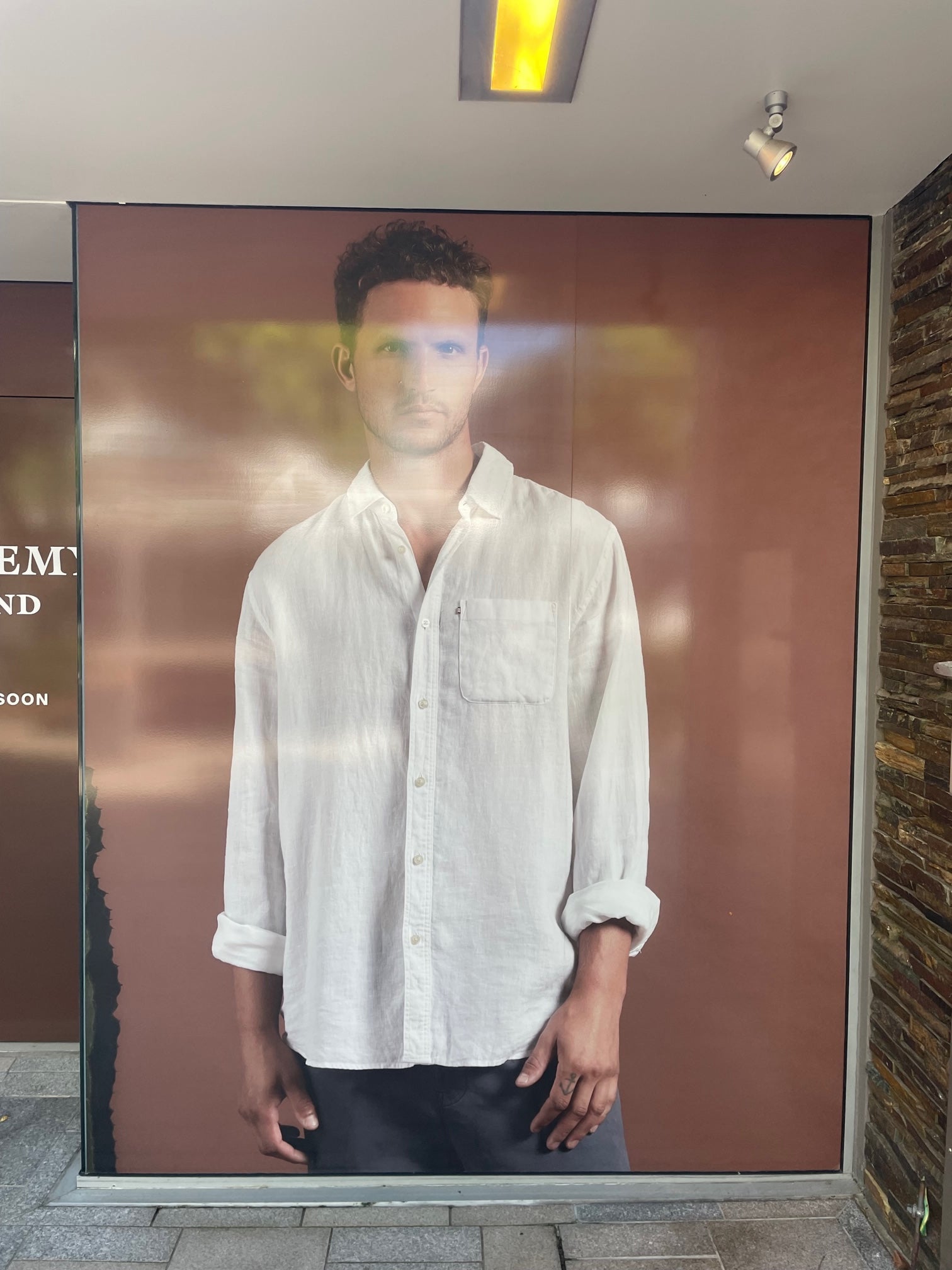 Stylish Window Coverage