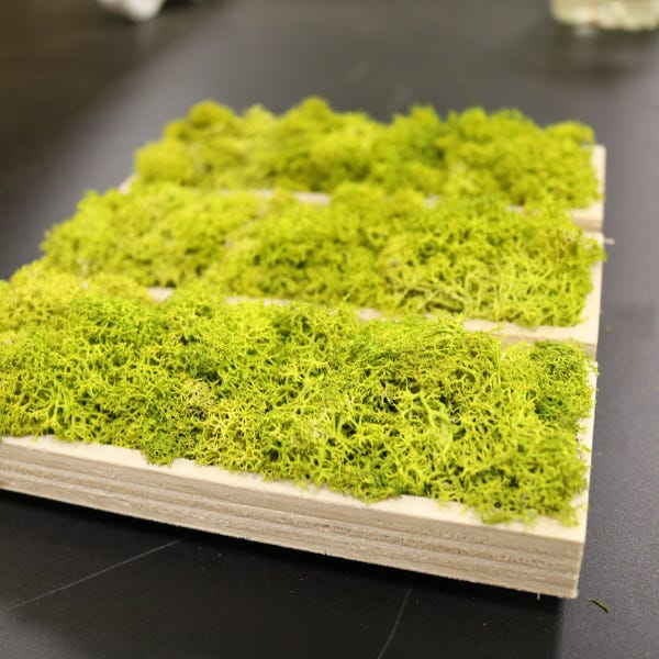 logo-vegetal-enseigne-vegetale-signaletique-bois-naturelle-lichen-stabilise-by-signarama-montpellier-vendargues-pose-enseigne