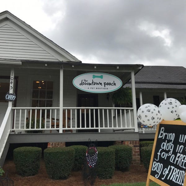 Storefront sign for The Downtown Pooch pet store in Roswell GA by Signarama Roswell