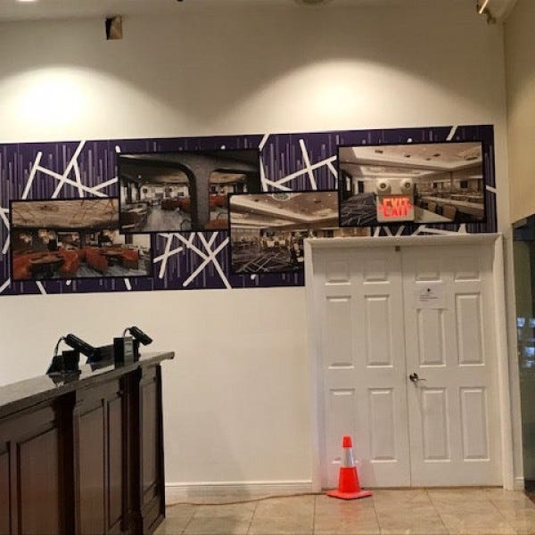 Double Tree Wall Graphics