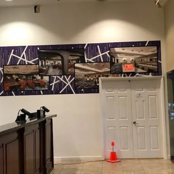 Double Tree Wall Graphics