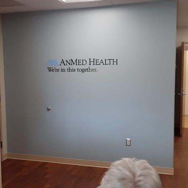 Anmed Wall Graphics