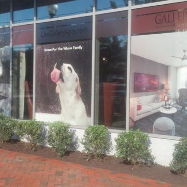 Window Graphics, Signarama Silver Spring, Gallery Bethesda Lobby