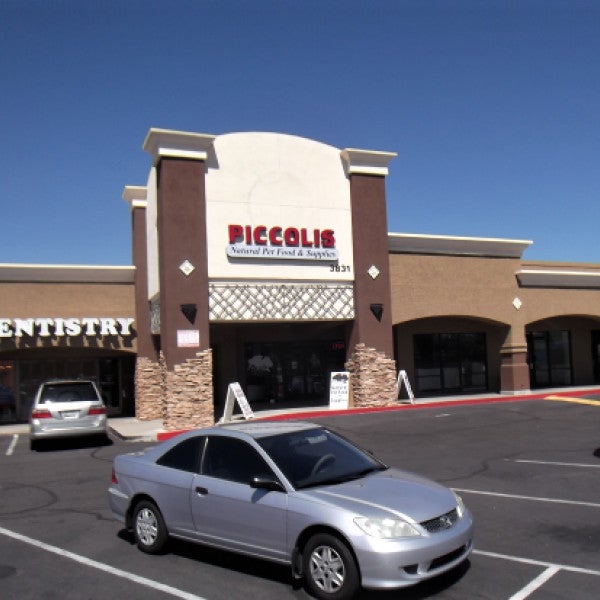 Your Complete Guide to Professional Signage Solutions: From Design to Installation