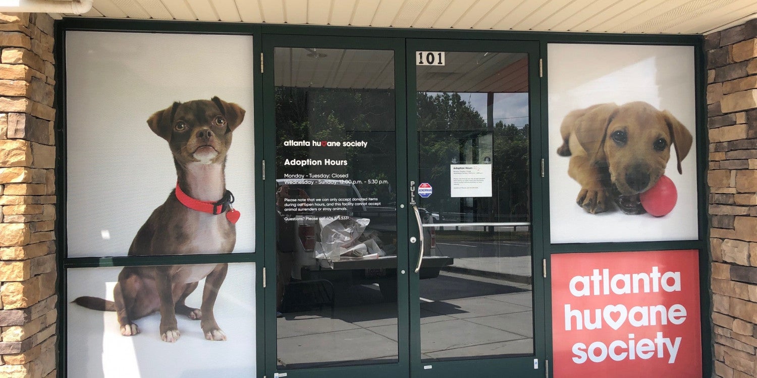 Window Signs & Signage
