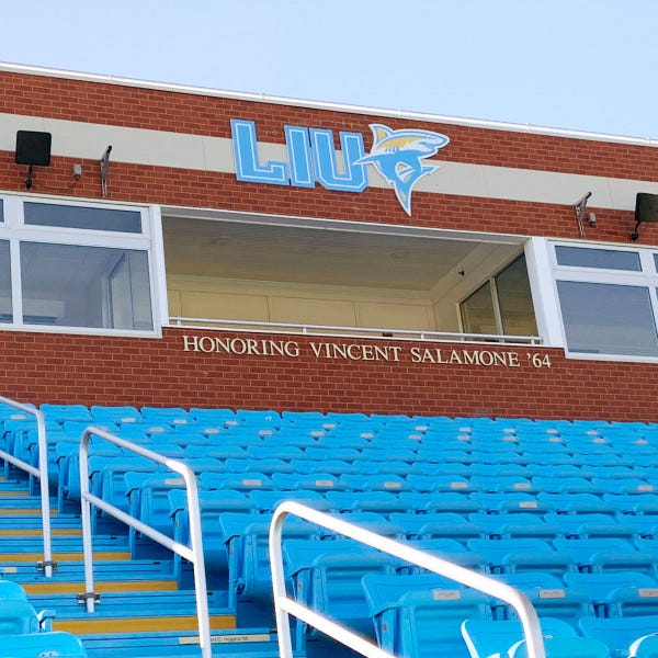 Exterior Architectural Pin Letters