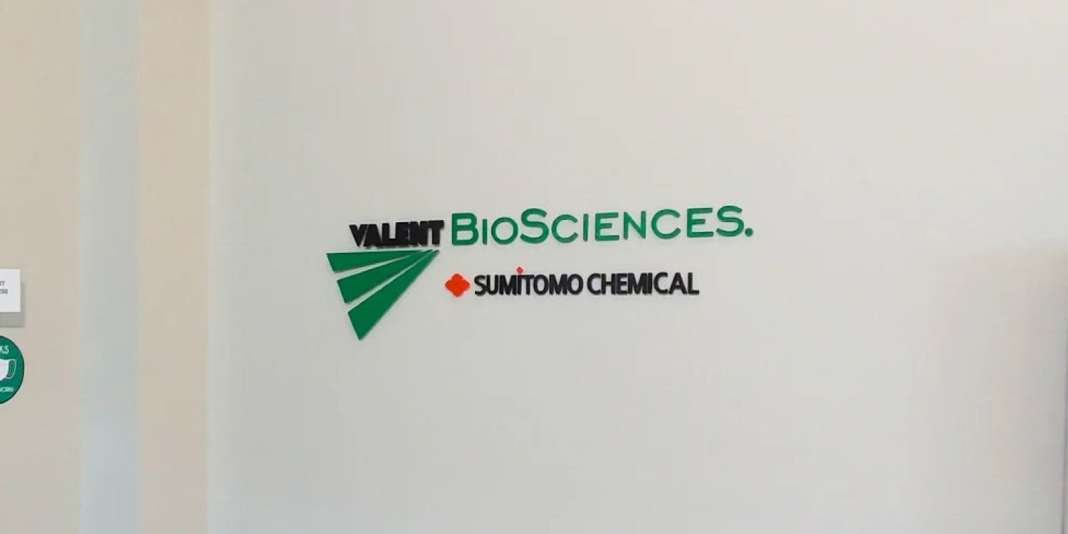 Dimensional Lettering