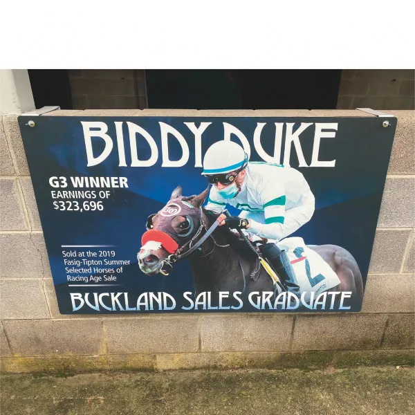 Brownstead Farm Pony Wall Sign & Bracket
