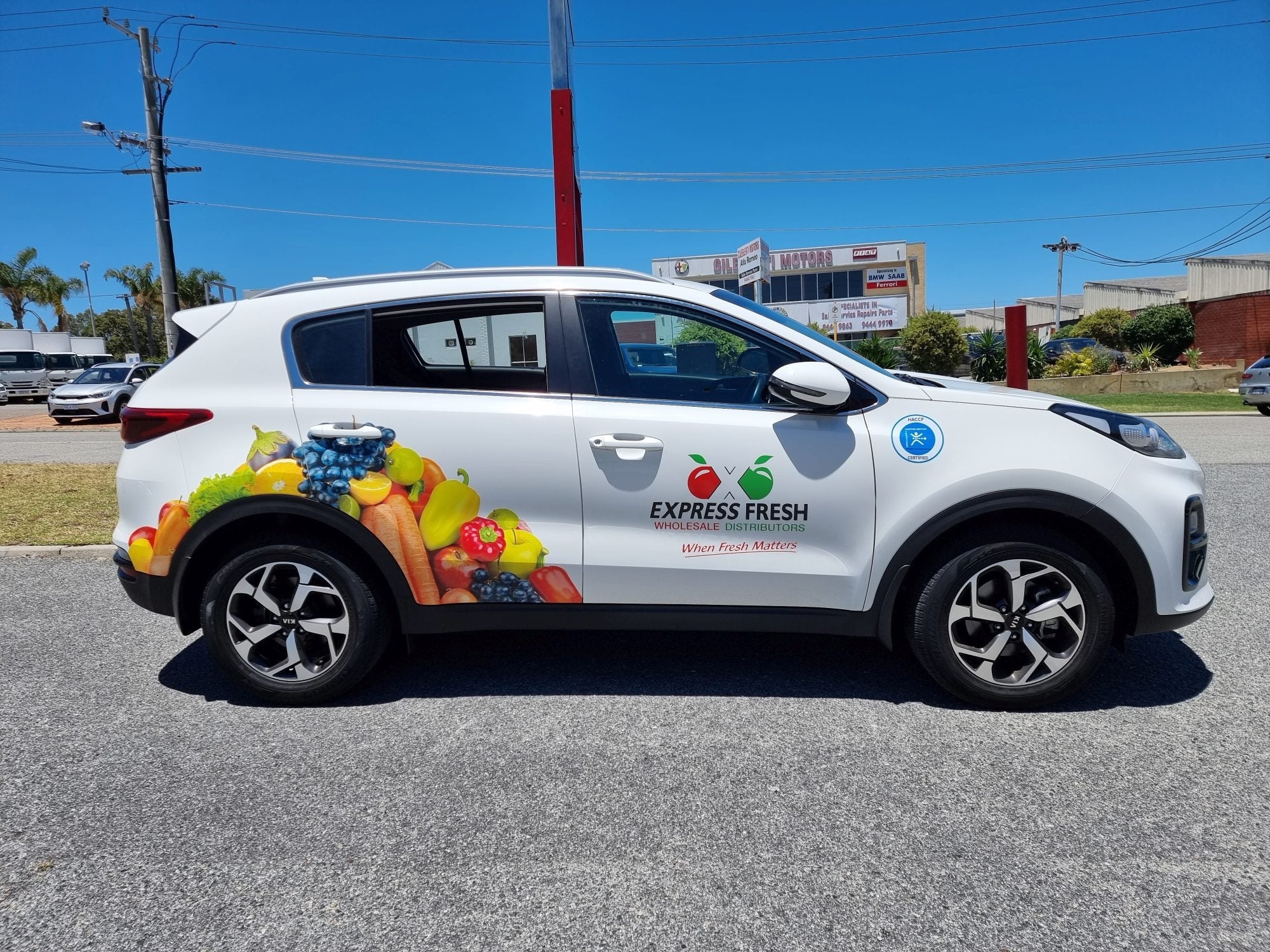Vehicle Wrap