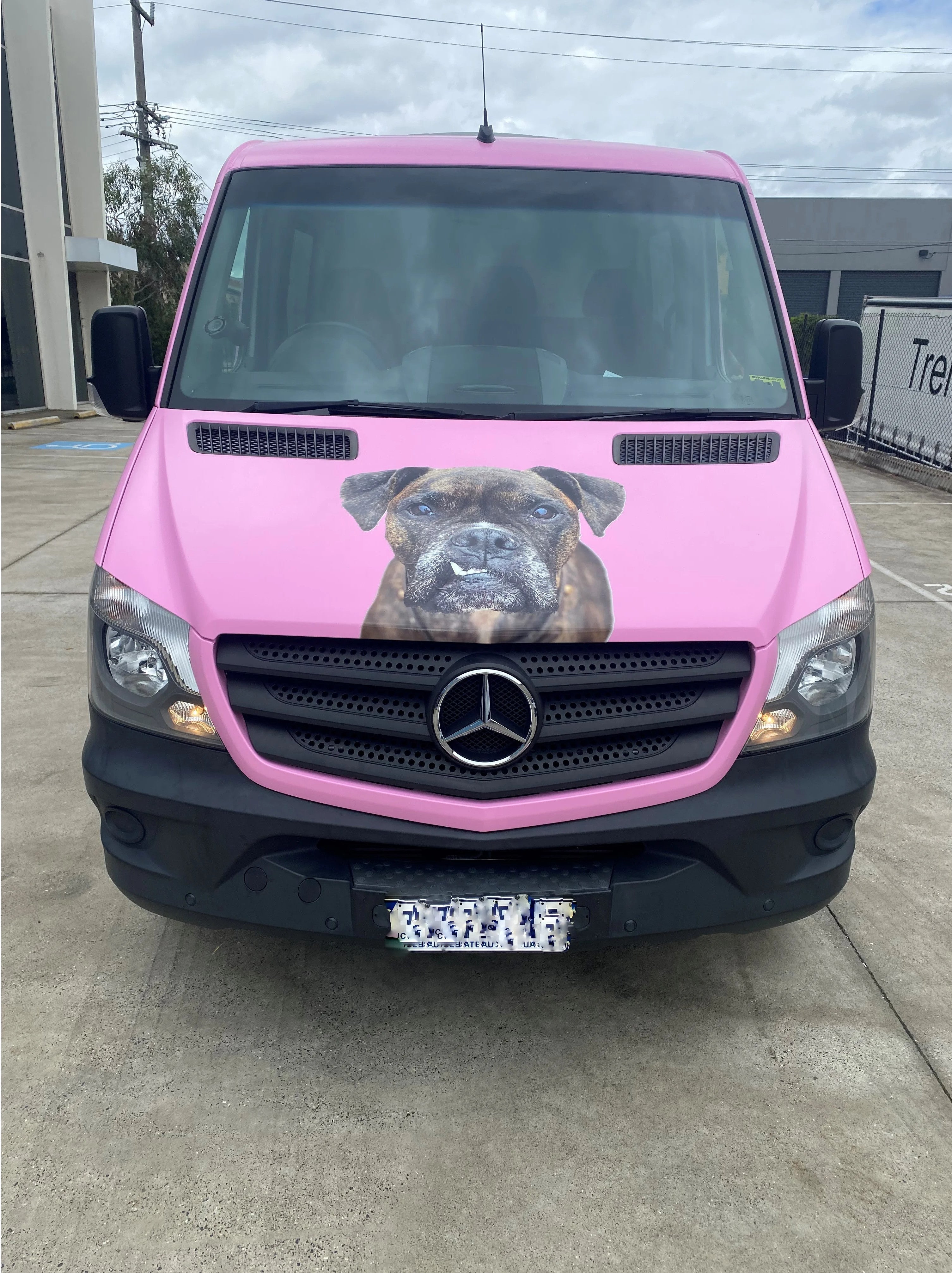 Vehicle Full Wrap - The Saltiest Dog - Thornbury.