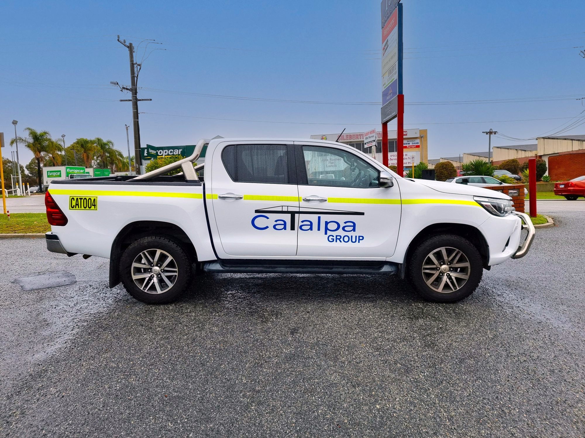 Catalpa Colour Change Wrap