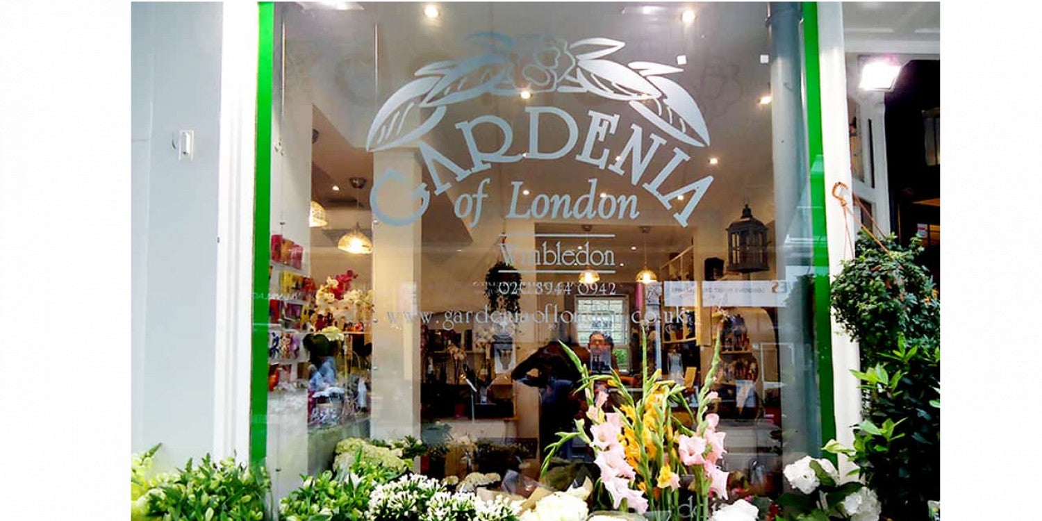 Window Lettering