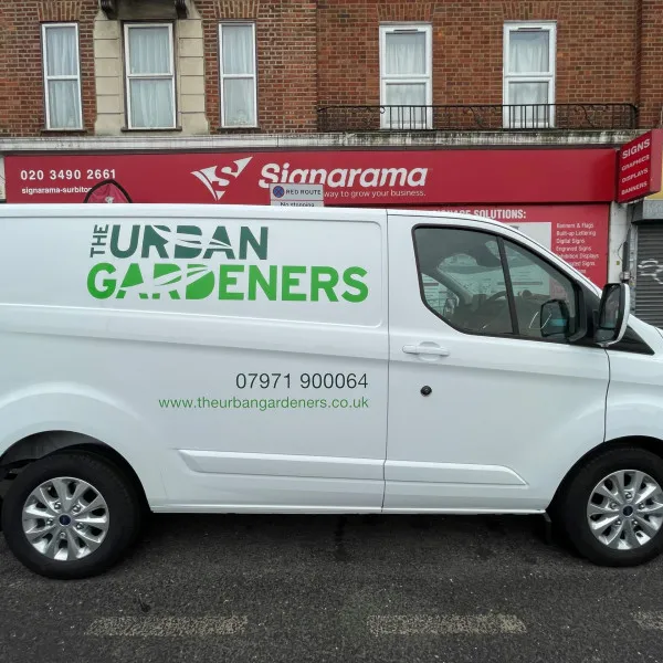 Vehicle Graphics