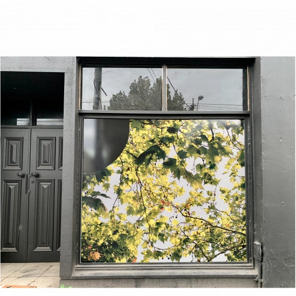 Window Graphics - Outline.