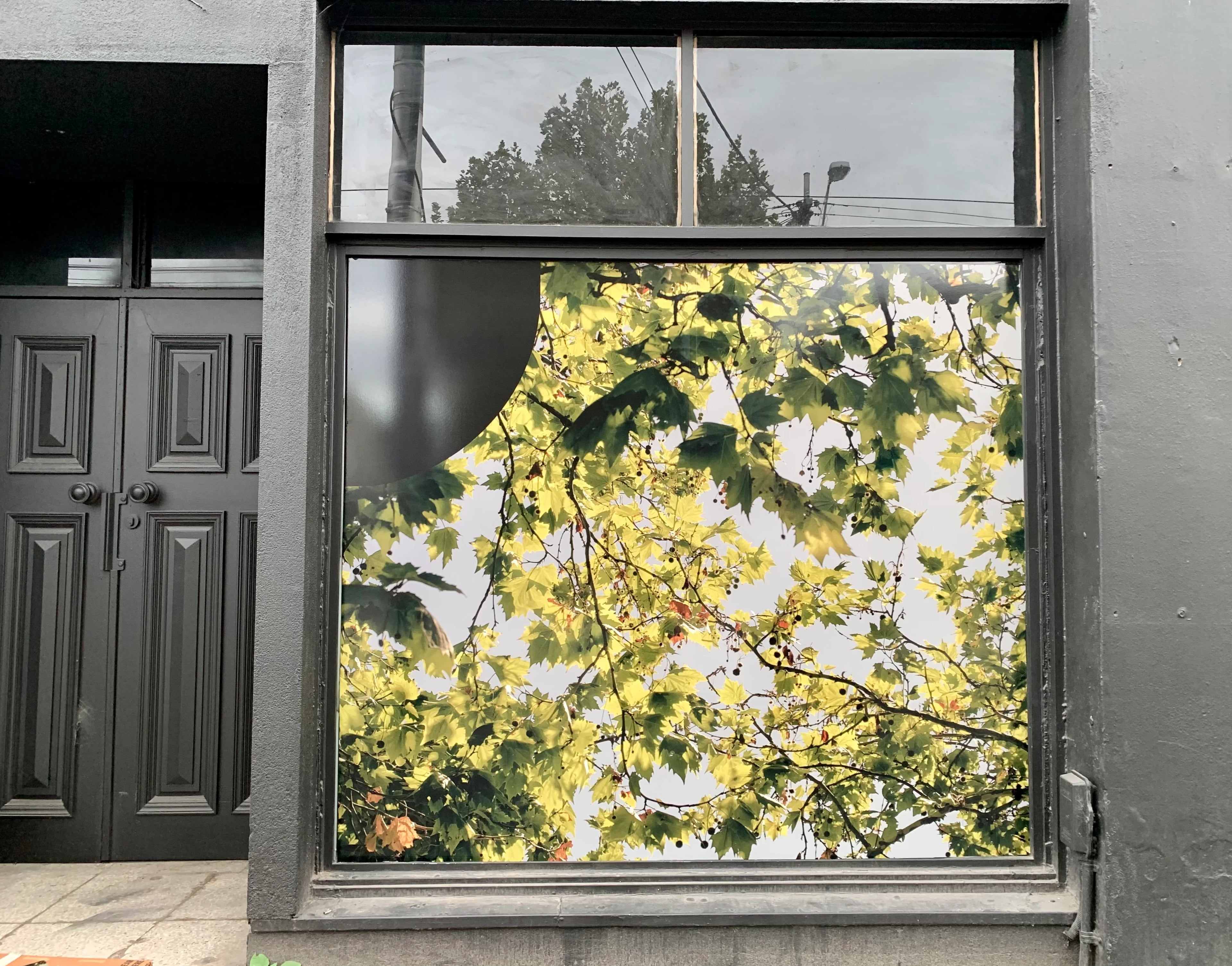 Window Graphics - Outline.