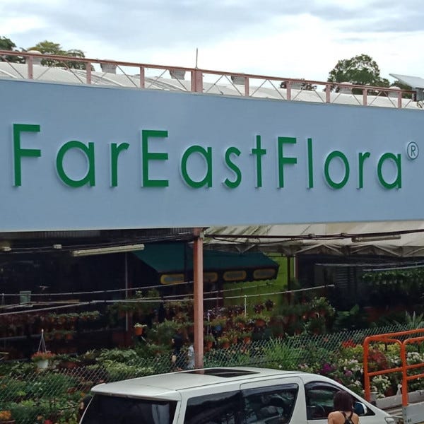 Far East Flora (1)