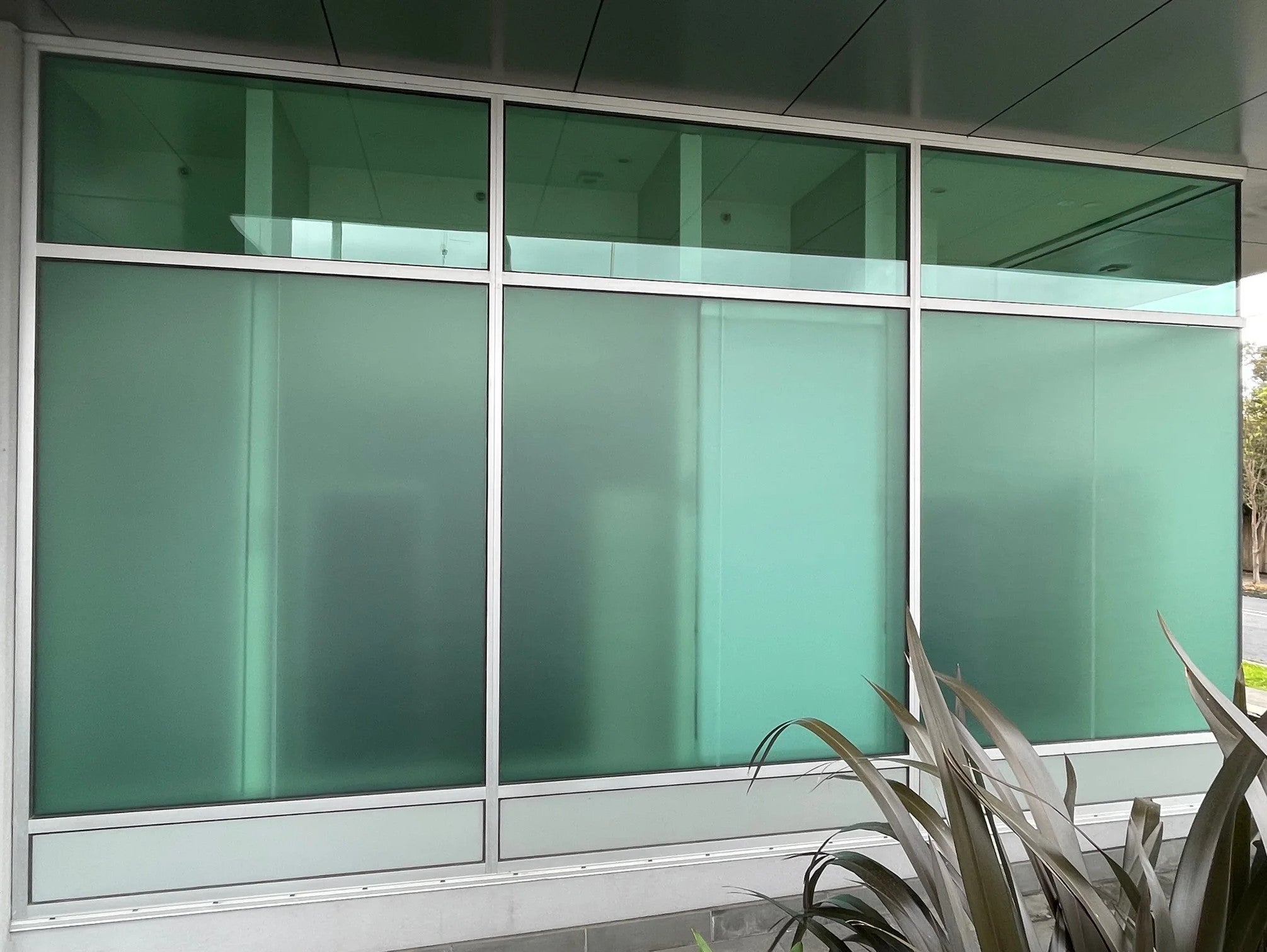 Office Signage - ISN Clinic - Kew.
