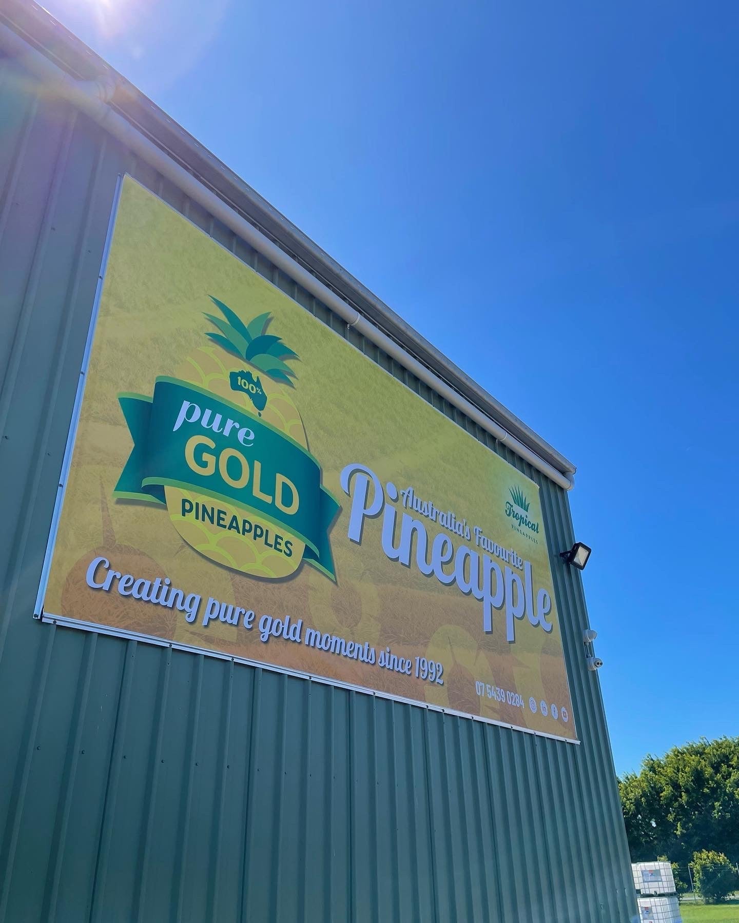 The bigger the banner - the BETTER