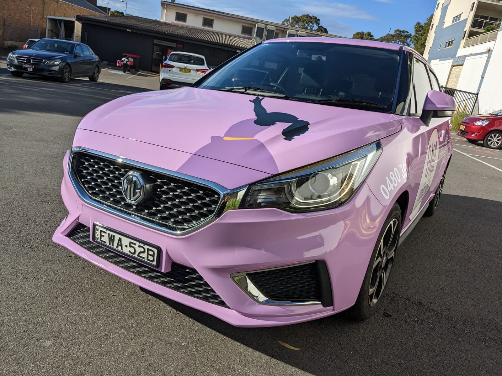 Girl in the Purple Dress - Car Wrap