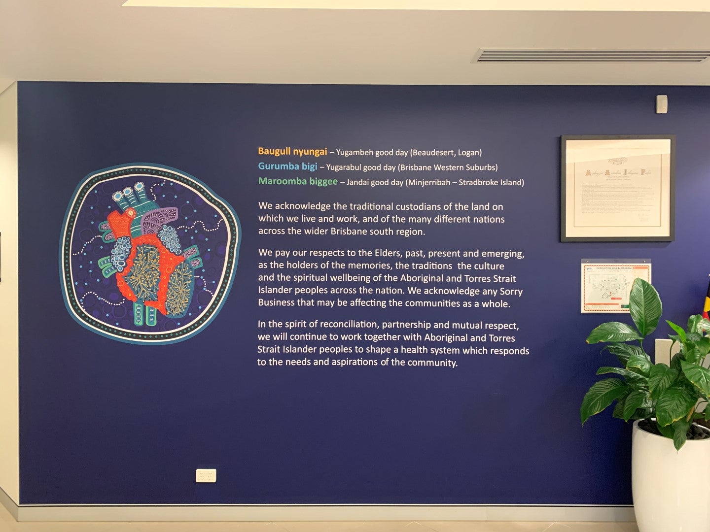 Brisbane South – wall graphics