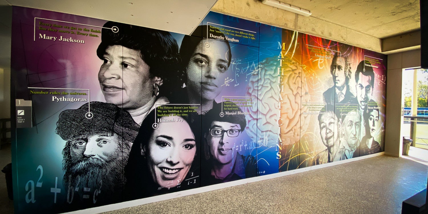 Wallpaper & Murals in Springwood